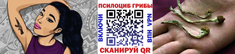 сколько стоит Кола Галлюциногенные грибы Magic Shrooms