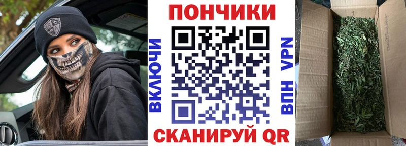 Бошки Шишки ГИДРОПОН  Кола 
